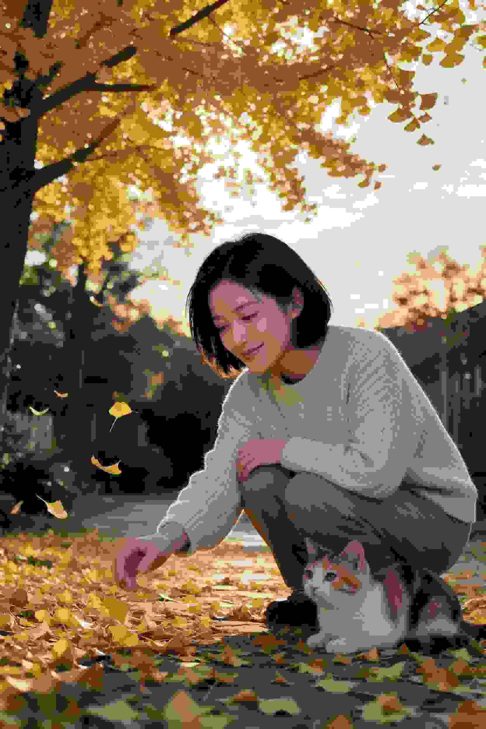 对面女孩
